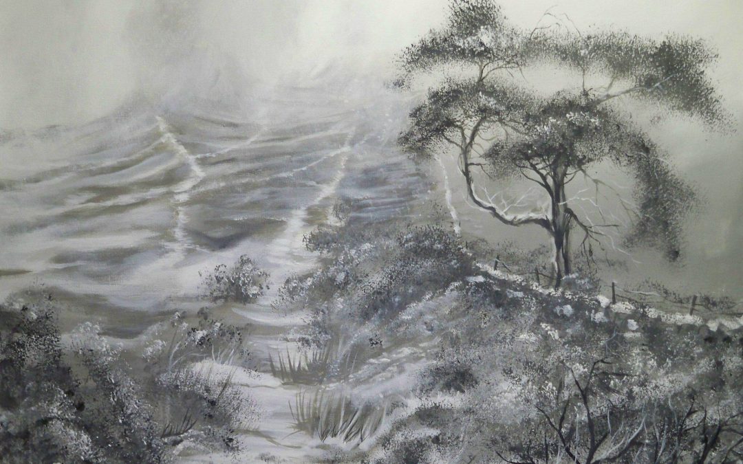 Winter Path to Captain Cook’s Monument
